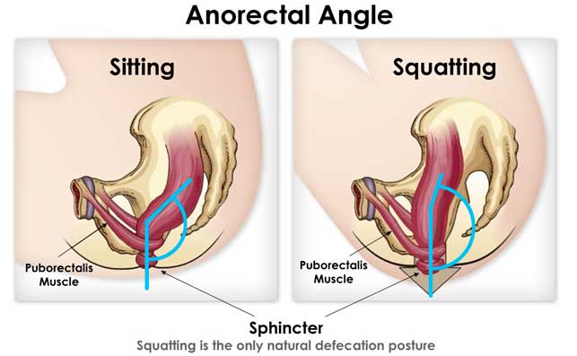 anorectal angle