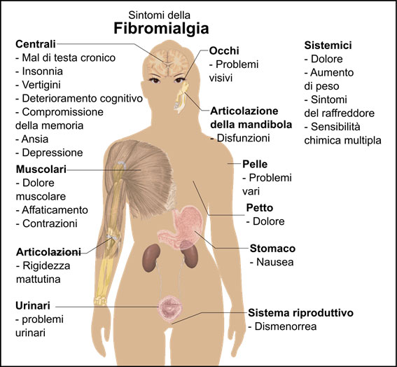 fibromialgia 3