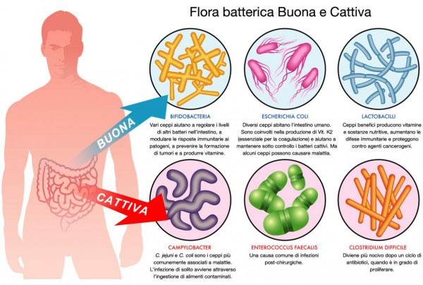 flora buona cattiva